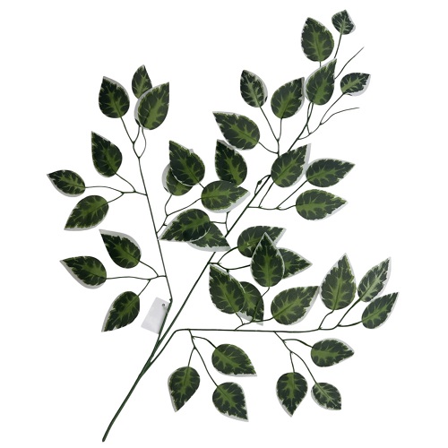 HASTE FICUS VARIEGATA 62CM-FOLHAGENS