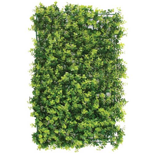 TAPETE DE MINI EUCALIPTO  60X40CM --JARDIM VERTICAL