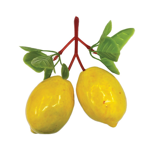 CACHO DE MINI LIMAO SICILIANO-FRUTAS E LEGUMES DIVERSOS